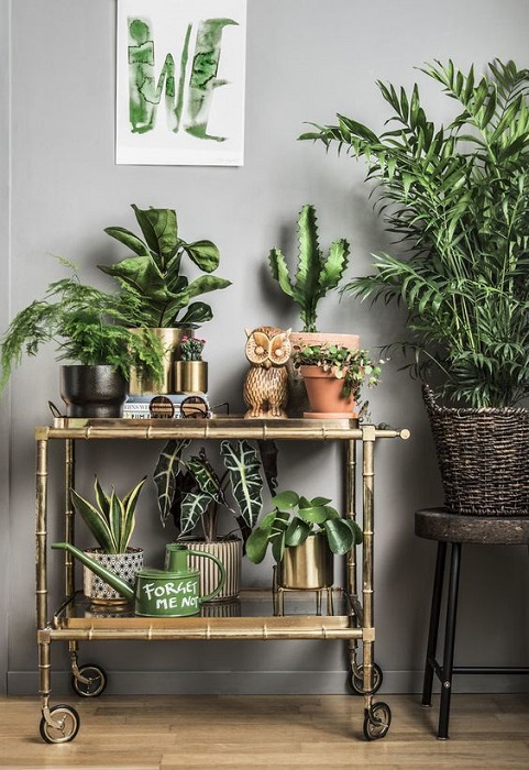 Find 20 Attracting Houseplants Decor Ideas To Beautify Your House Perfectly