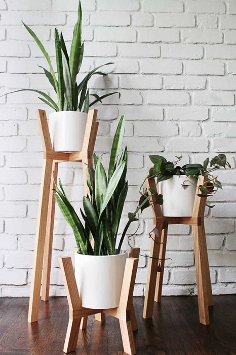 5 Amazing Tips To Use Modern Wooden Plant Stand You Must See