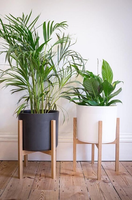5 Amazing Tips To Use Modern Wooden Plant Stand You Must See