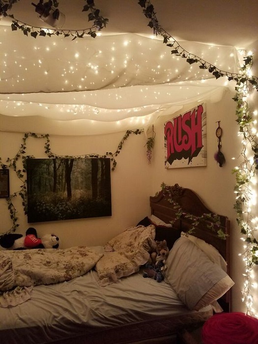 Beautiful Canopy Bed Ideas Combined With Sparkling Lights Decor